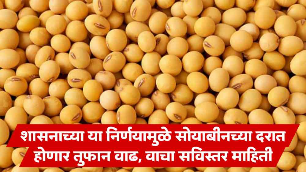 Soybean Market Price