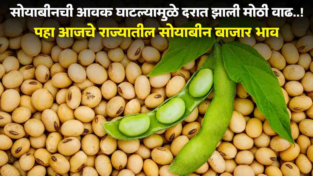 Soyabean Rate Today