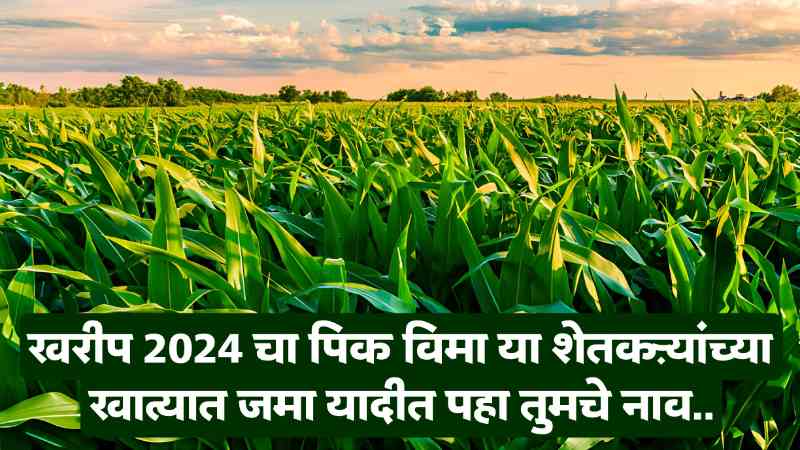 Kharip pik vima 2024 instalment